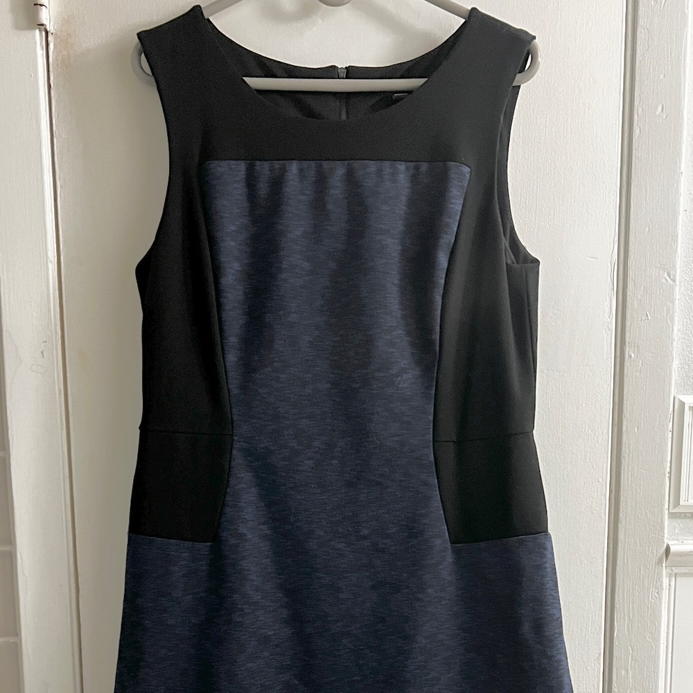 ANN TAYLOR dress
